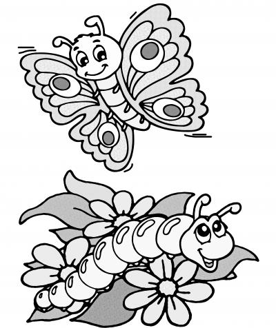 Biodiversität im Papiliorama erleben